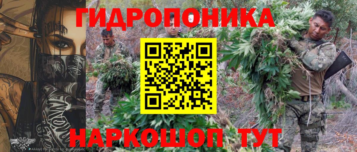 Минусинск  Бошки Шишки планчик  Конопля конопля  Вход с VPN  МАРИХУАНА Amnesia  Бошки Шишки VHQ 